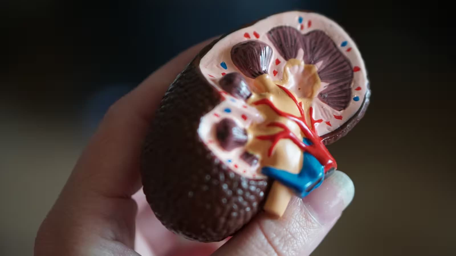 Nephrology clinical setting