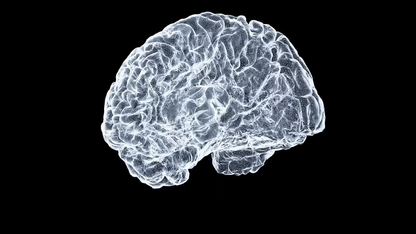 Neurology: How disciplined denial workflows cut write-offs by 63%