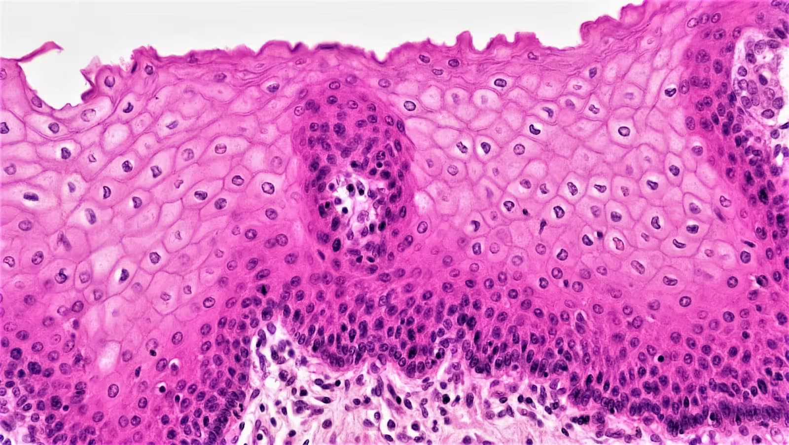 Pathology clinical setting